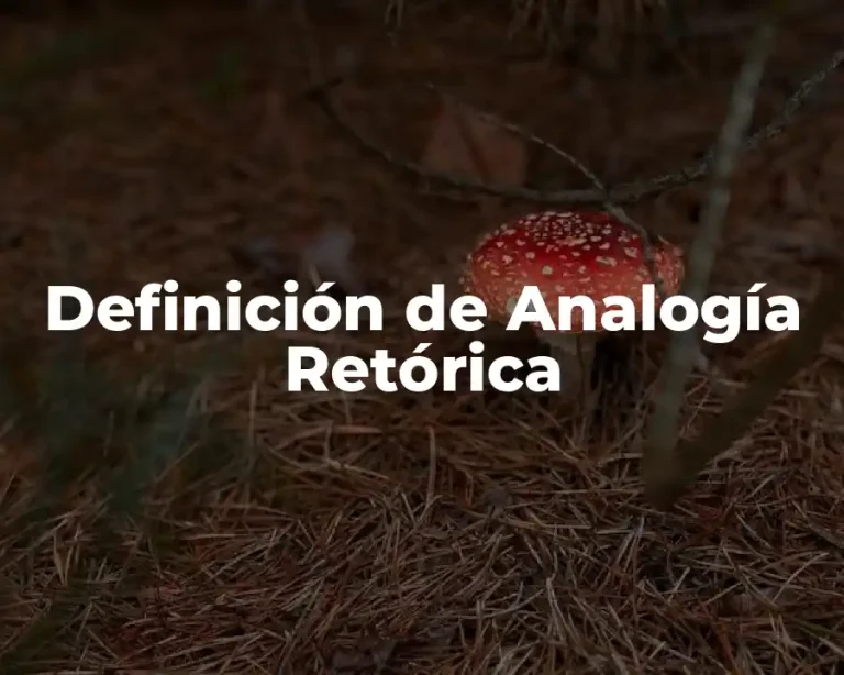 Definición de Analogía Retórica