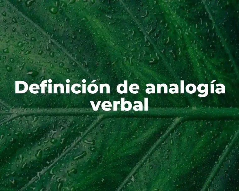 Definición de analogía verbal