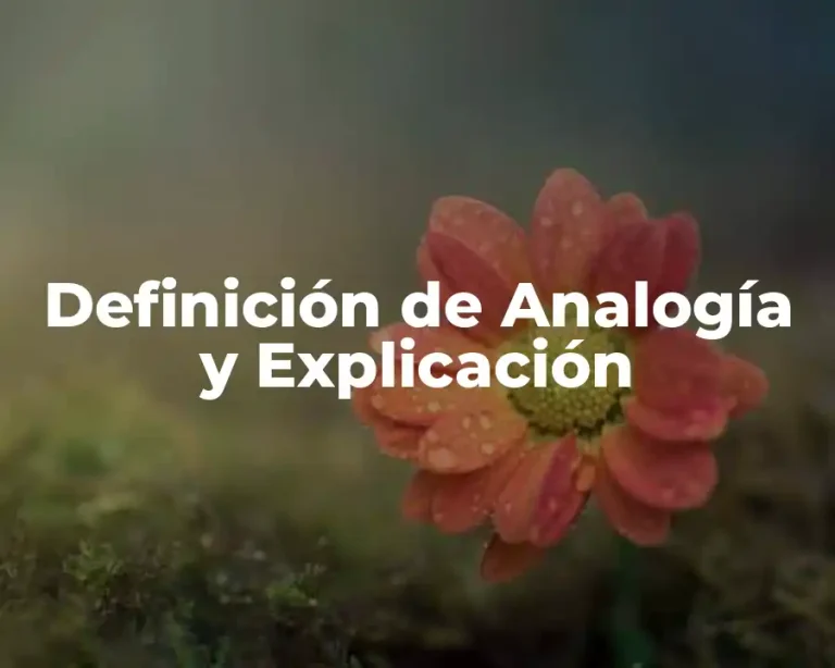 Definición de Analogía y Explicación