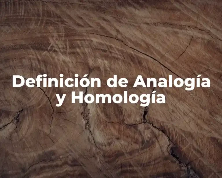 Definición de Analogía y Homología