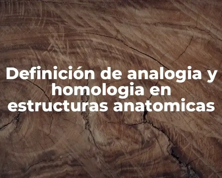Definición de analogia y homologia en estructuras anatomicas