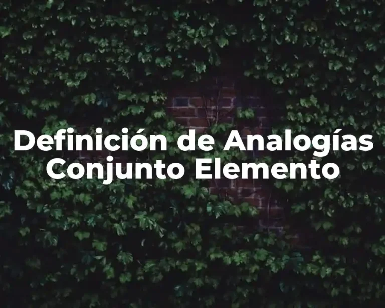 Definición de Analogías Conjunto Elemento