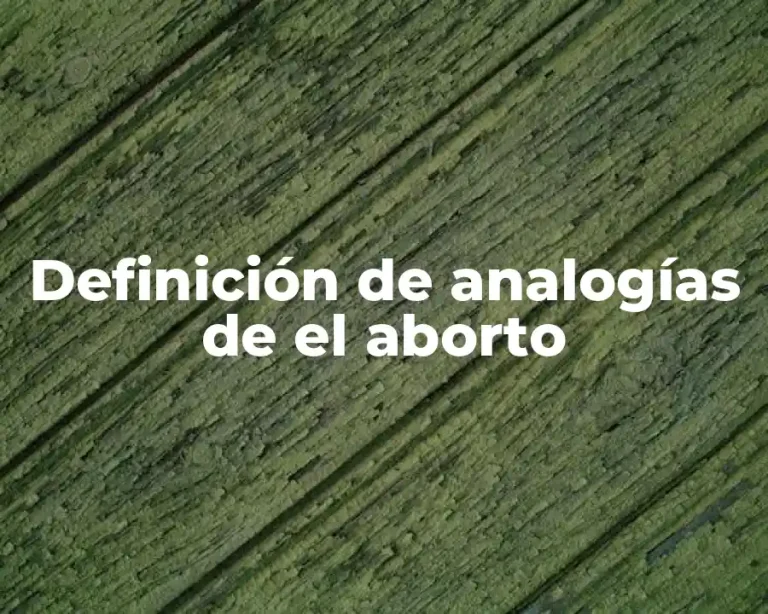 Definición de analogías de el aborto
