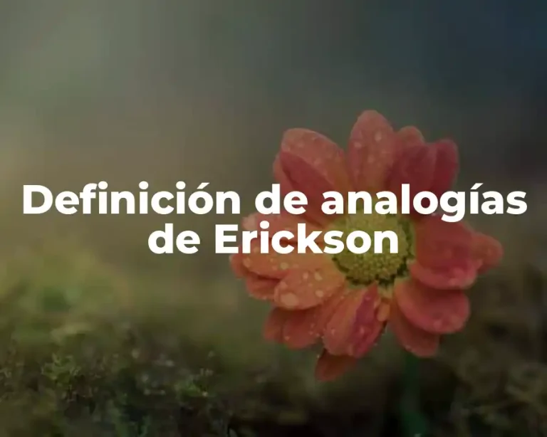 Definición de analogías de Erickson