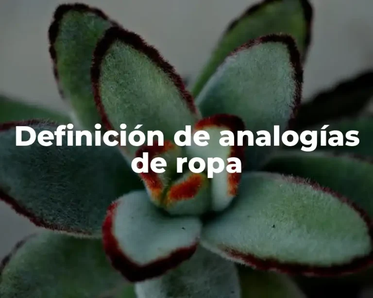 Definición de analogías de ropa