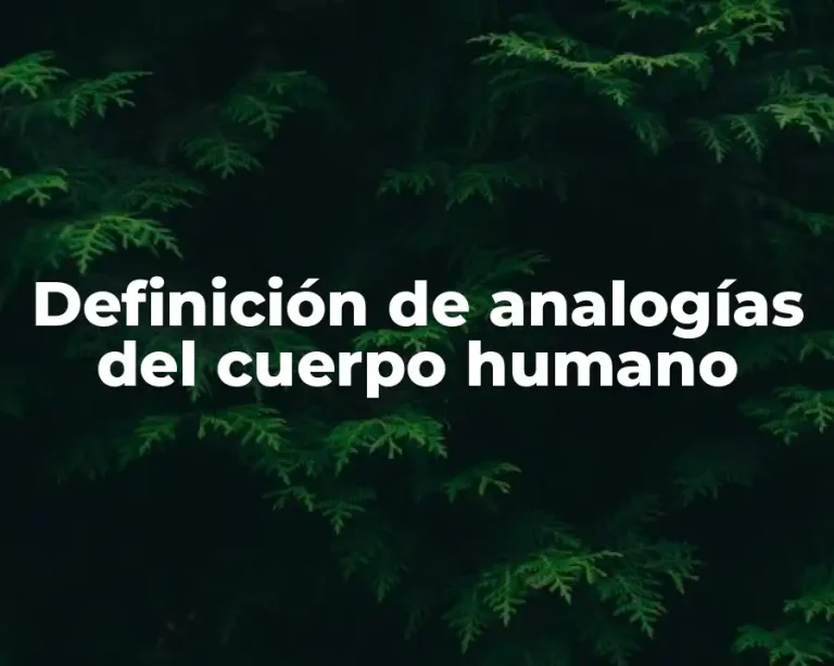 Definición de analogías del cuerpo humano
