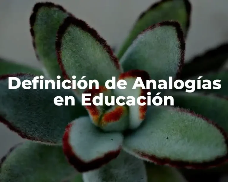 Definición de Analogías en Educación