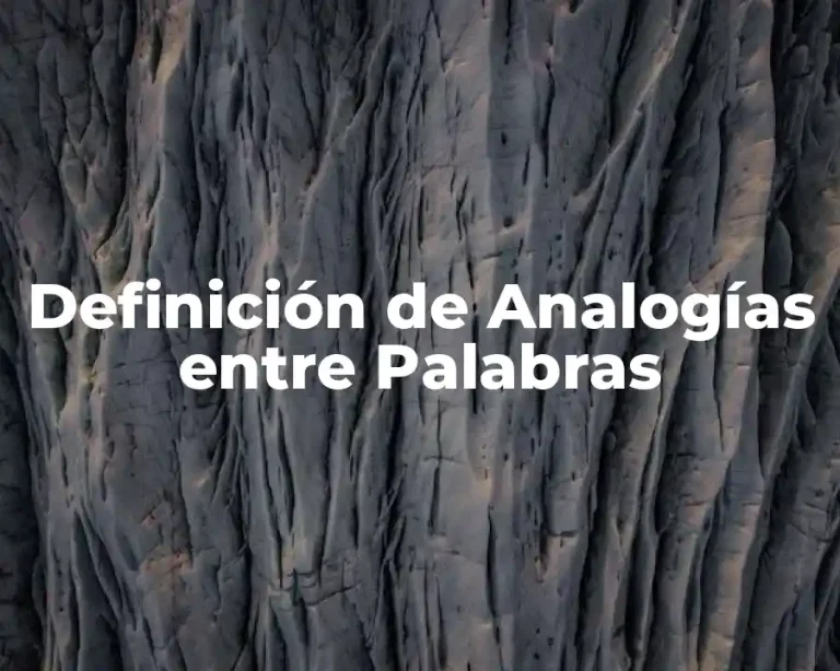Definición de Analogías entre Palabras