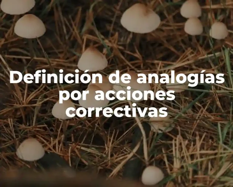 Definición de analogías por acciones correctivas