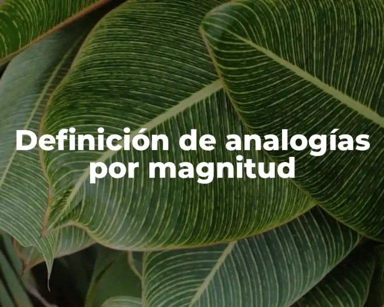 Definición de analogías por magnitud