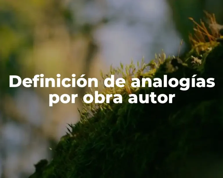 Definición de analogías por obra autor