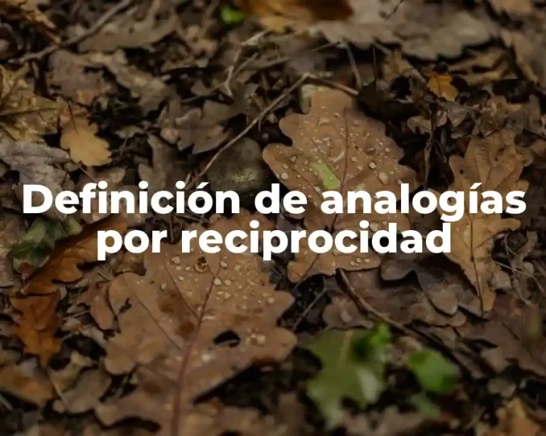 Definición de analogías por reciprocidad