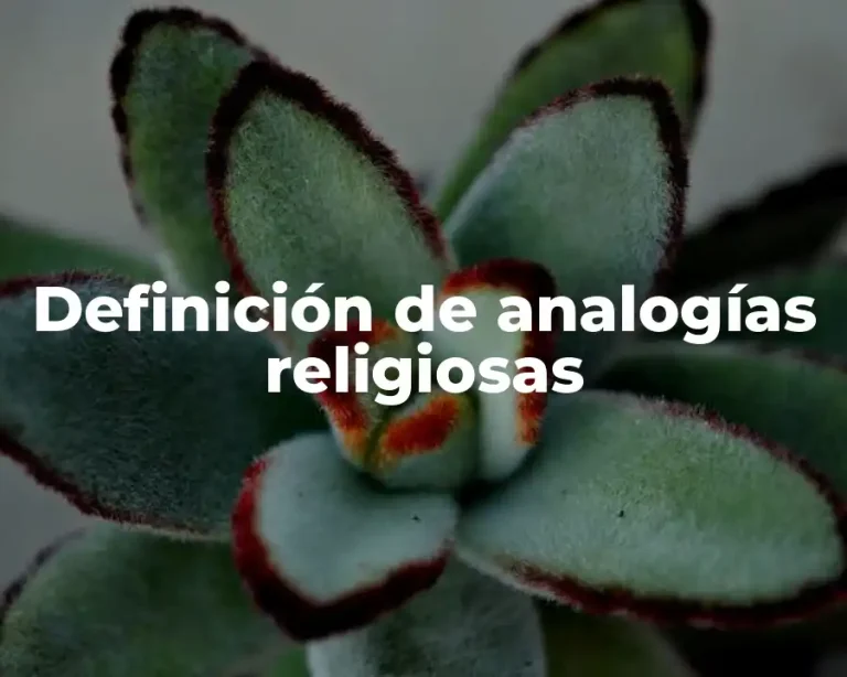 Definición de analogías religiosas
