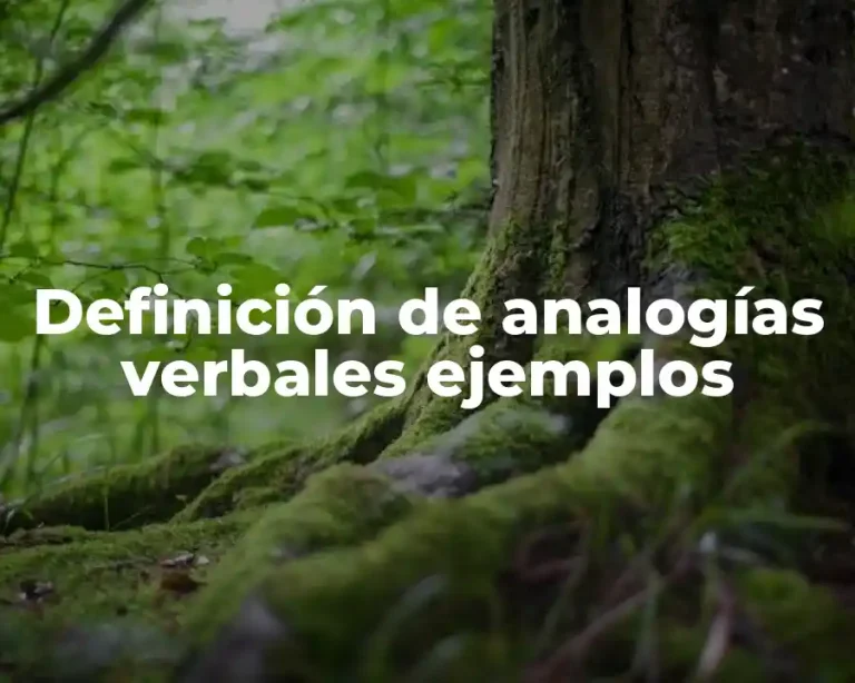 Definición de analogías verbales ejemplos