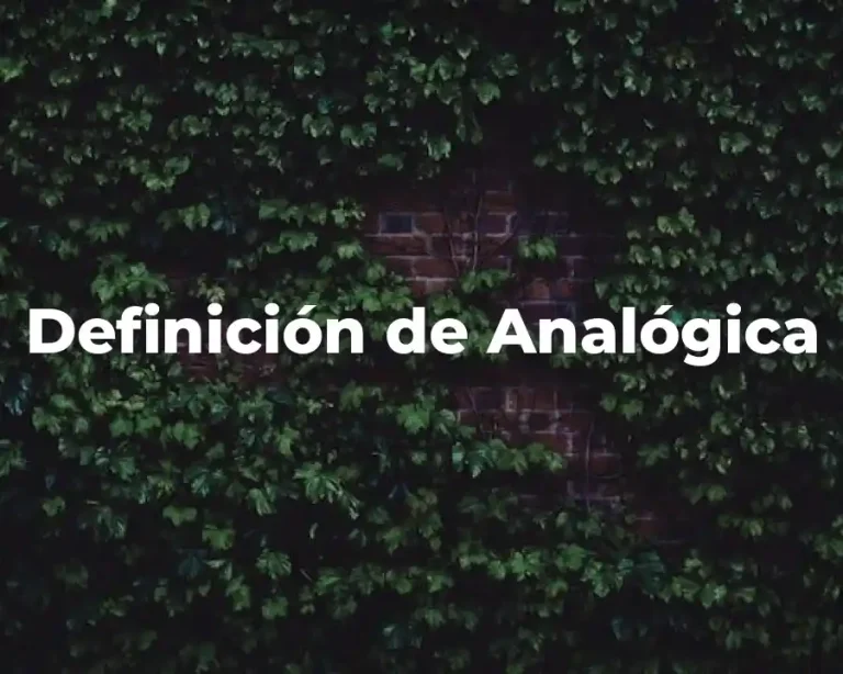 Definición de Analógica