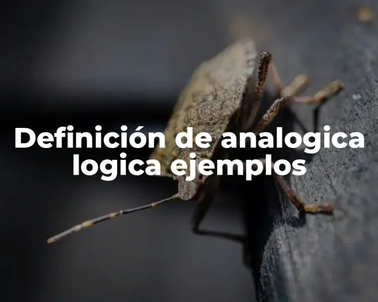 Definición de analogica logica ejemplos