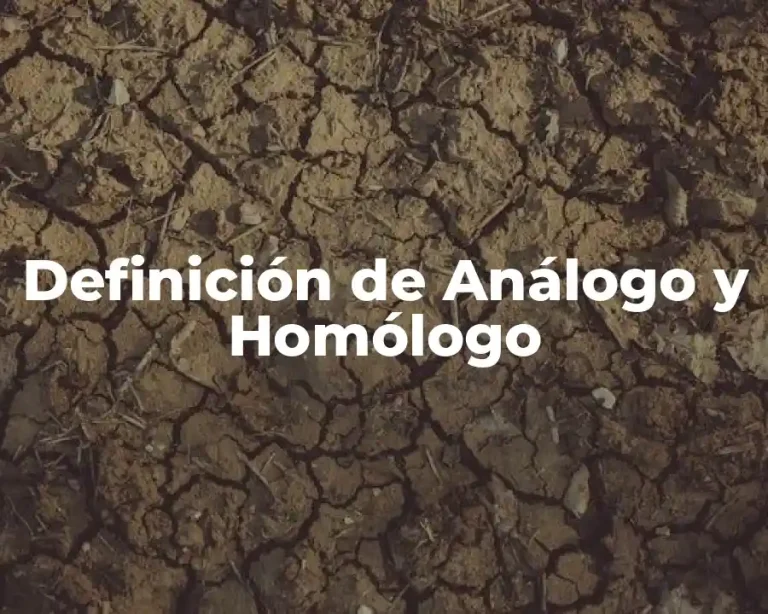 Definición de Análogo y Homólogo