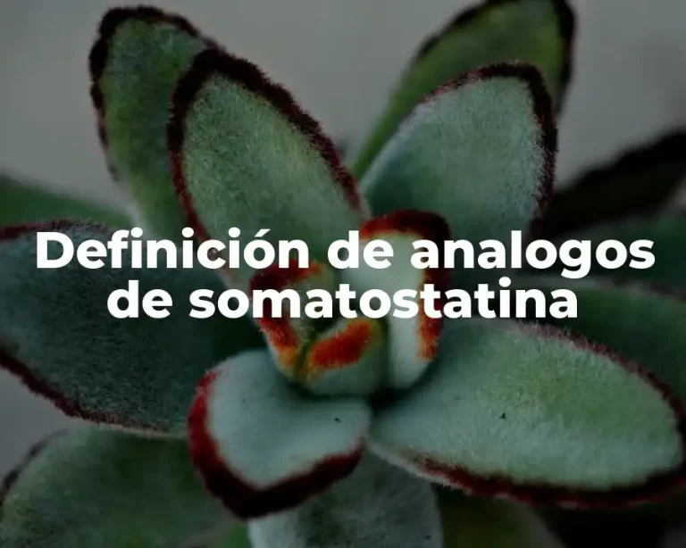 Definición de analogos de somatostatina
