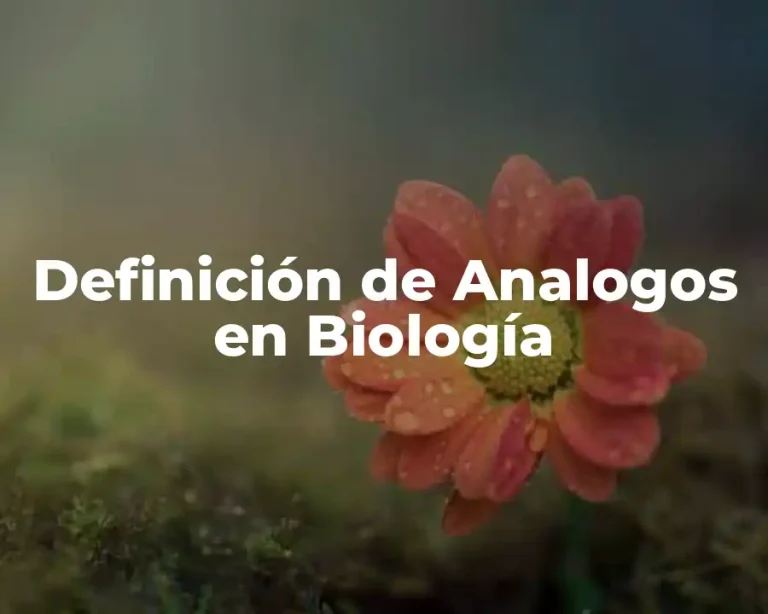 Definición de Analogos en Biología