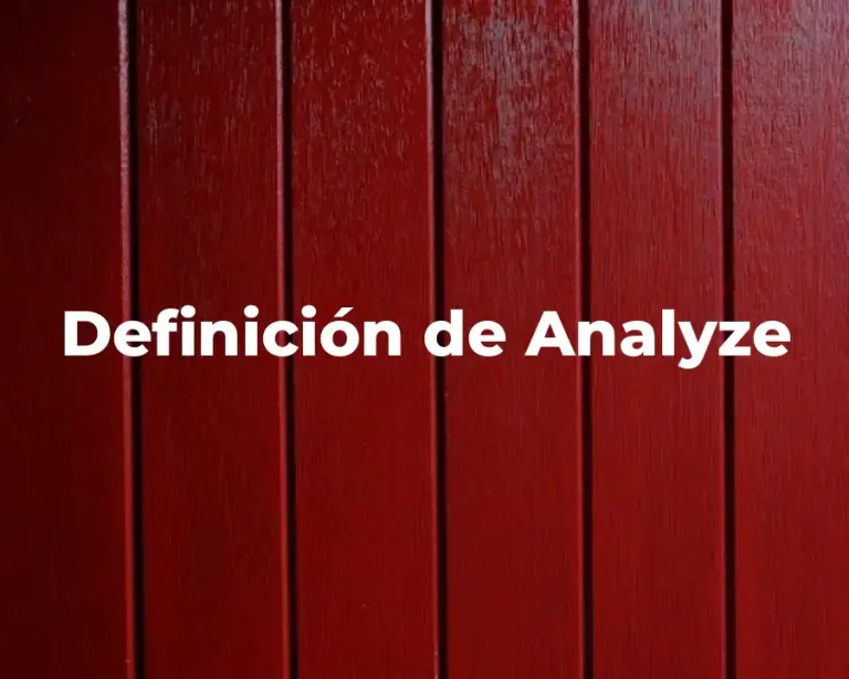Definición de Analyze