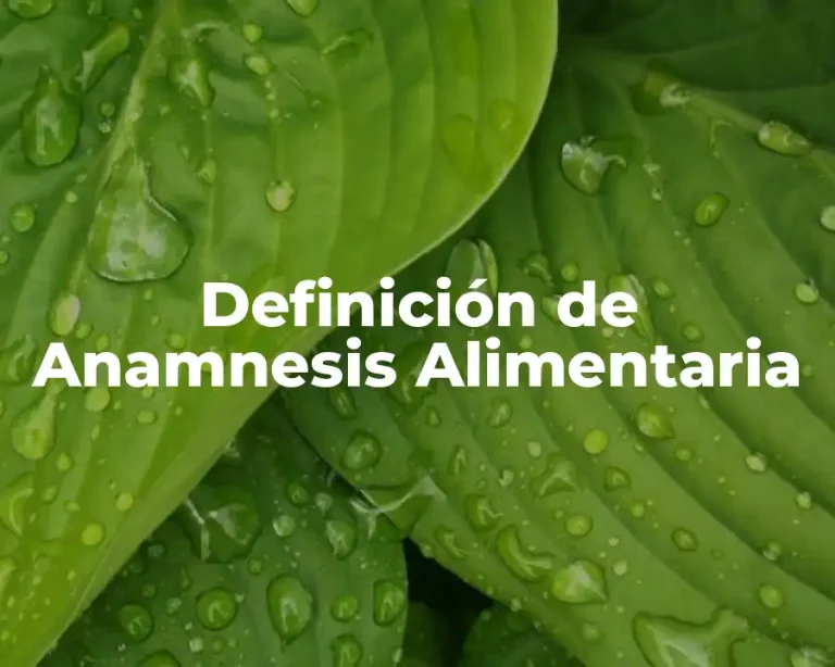 Definición de Anamnesis Alimentaria