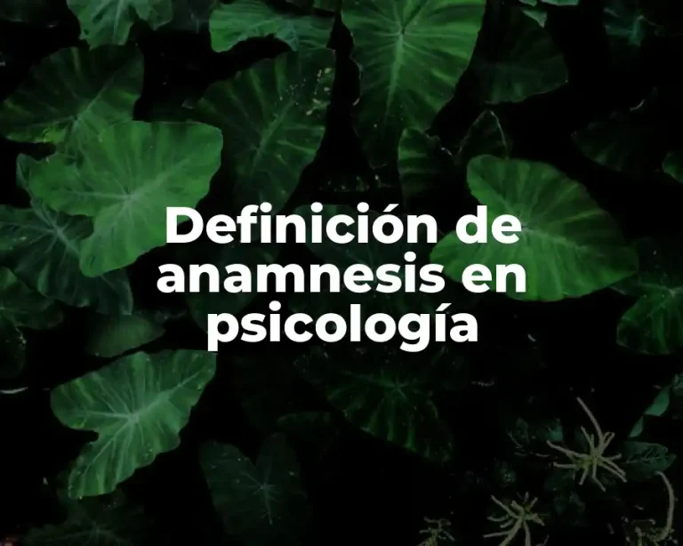 Definición de anamnesis en psicología