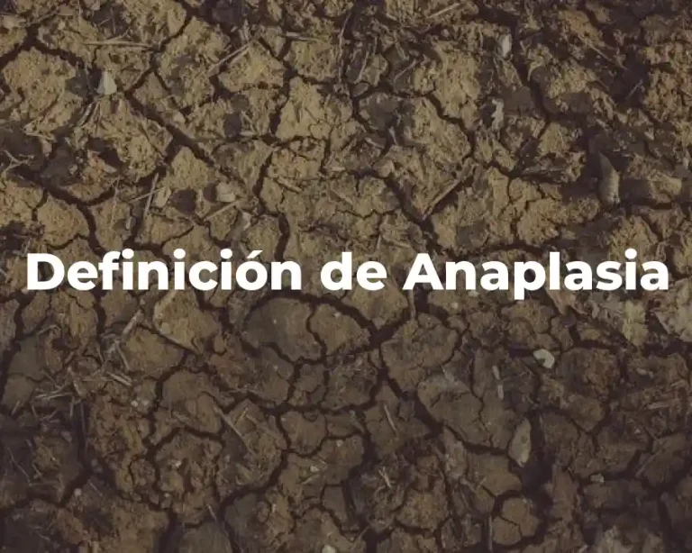 Definición de Anaplasia