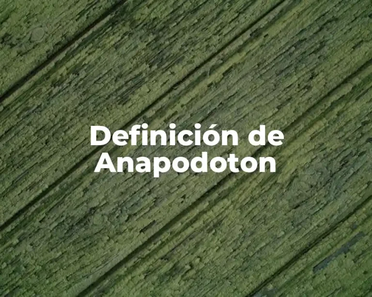 Definición de Anapodoton