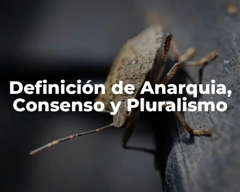 Definición de Anarquia, Consenso y Pluralismo