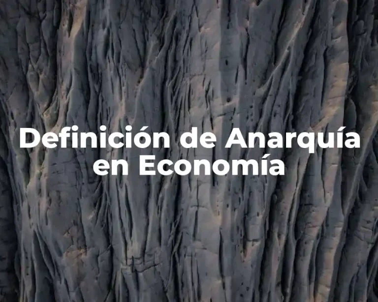 Definición de Anarquía en Economía