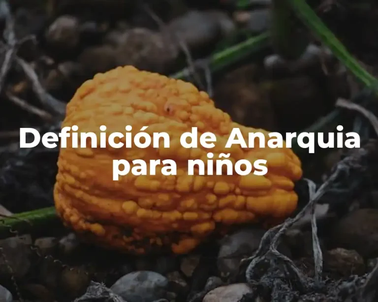 Definición de Anarquia para niños