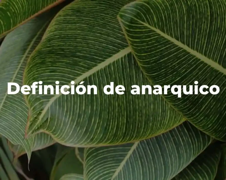 Definición de anarquico