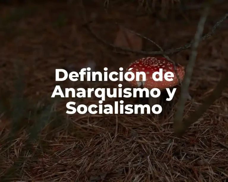Definición de Anarquismo y Socialismo