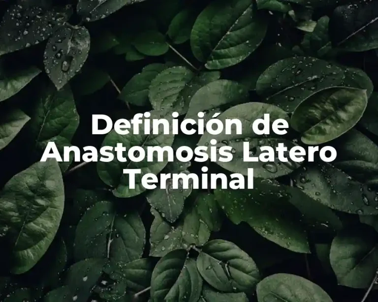 Definición de Anastomosis Latero Terminal