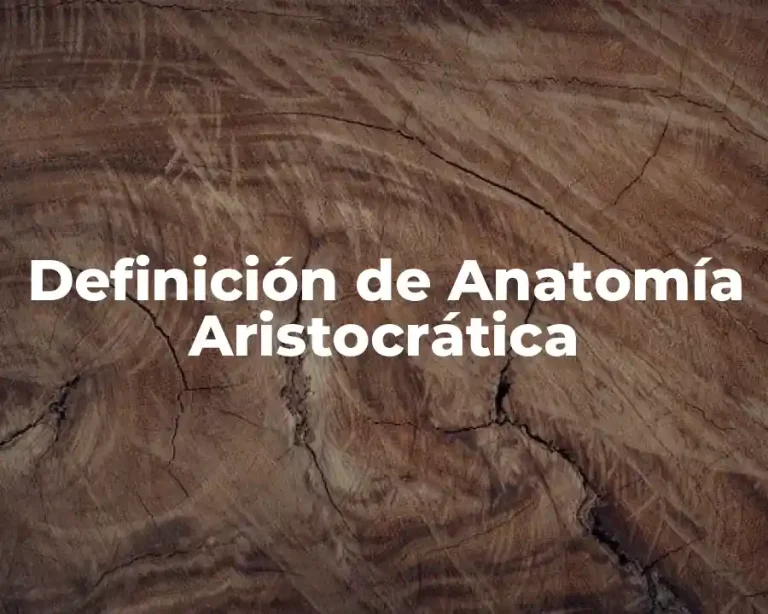 Definición de Anatomía Aristocrática