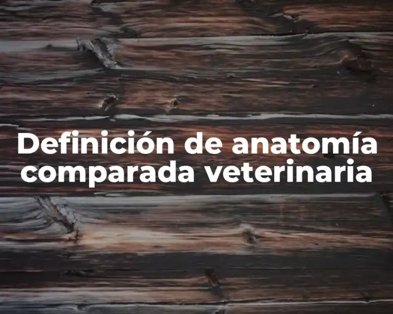 Definición de anatomía comparada veterinaria