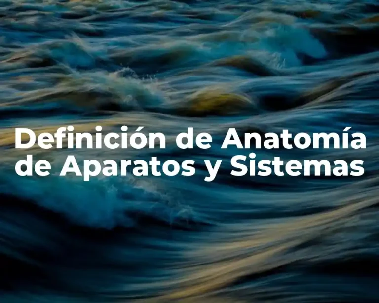 Definición de Anatomía de Aparatos y Sistemas