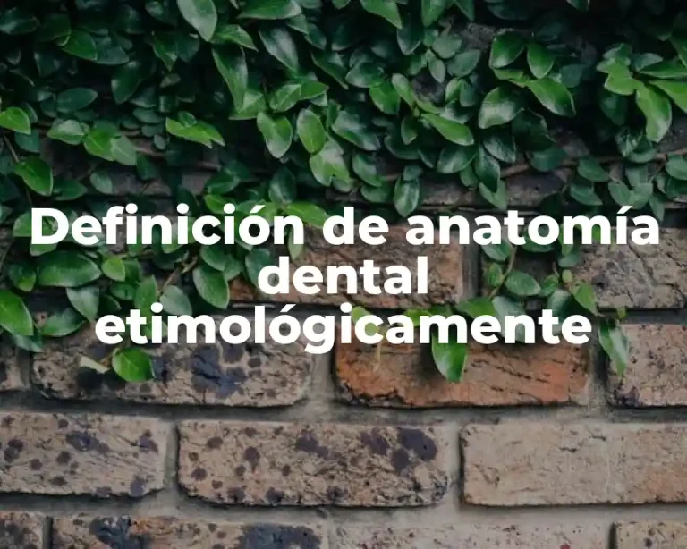 Definición de anatomía dental etimológicamente