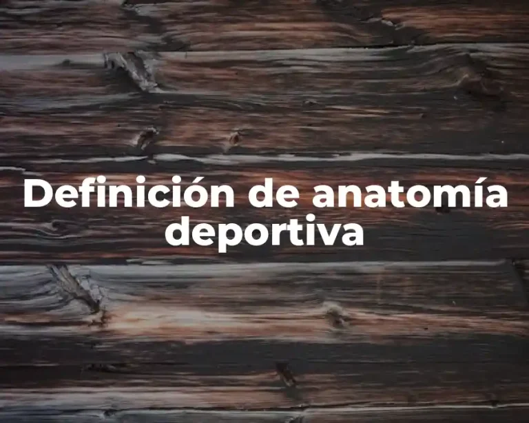 Definición de anatomía deportiva