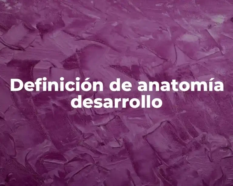Definición de anatomía desarrollo
