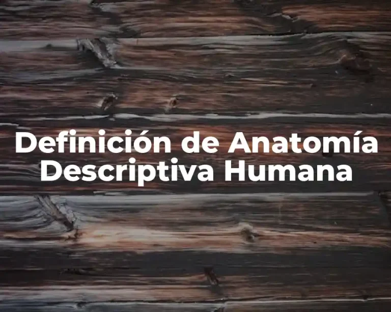 Definición de Anatomía Descriptiva Humana