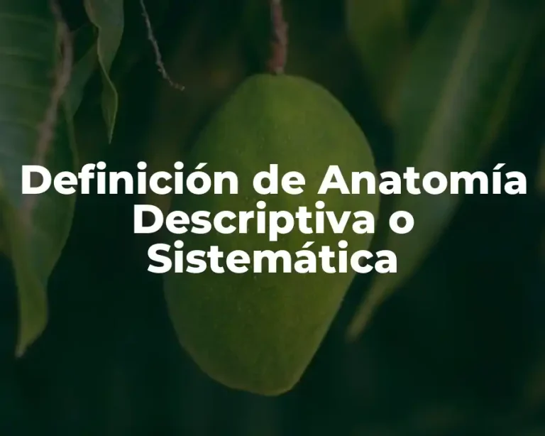 Definición de Anatomía Descriptiva o Sistemática