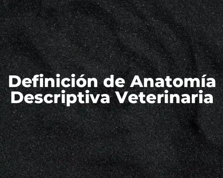 Definición de Anatomía Descriptiva Veterinaria