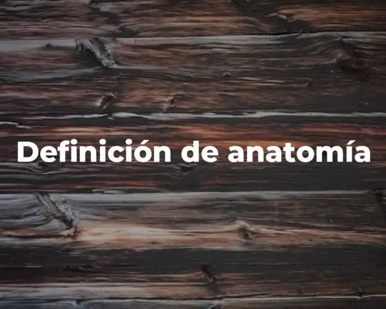 Definición de anatomía