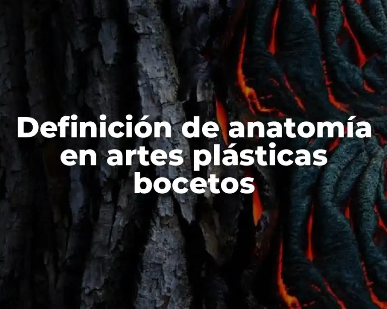 Definición de anatomía en artes plásticas bocetos