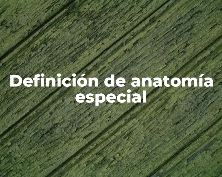 Definición de anatomía especial