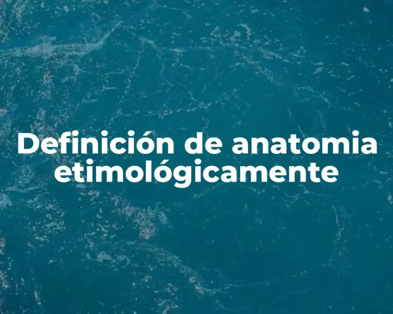 Definición de anatomia etimológicamente
