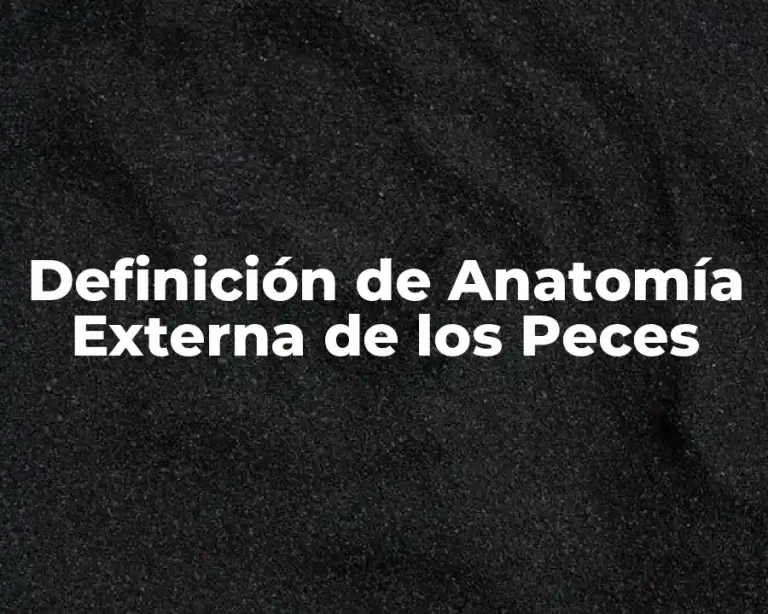 Definición de Anatomía Externa de los Peces