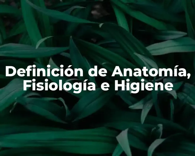 Definición de Anatomía, Fisiología e Higiene