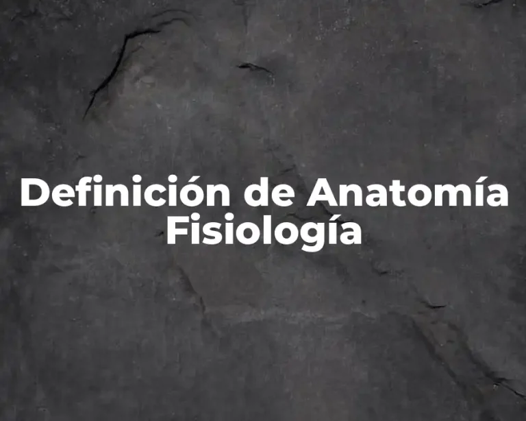 Definición de Anatomía Fisiología